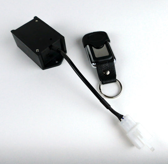 SeeLite Wireless Remote