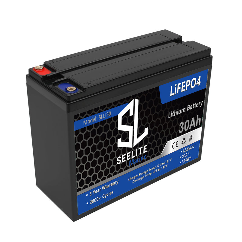 Load image into Gallery viewer, SeeLite Lithium Deep Cycle Battery
